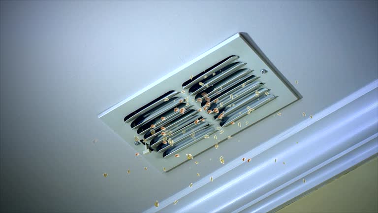 Best Ventilation Cleaning Services  in Eureka, IL