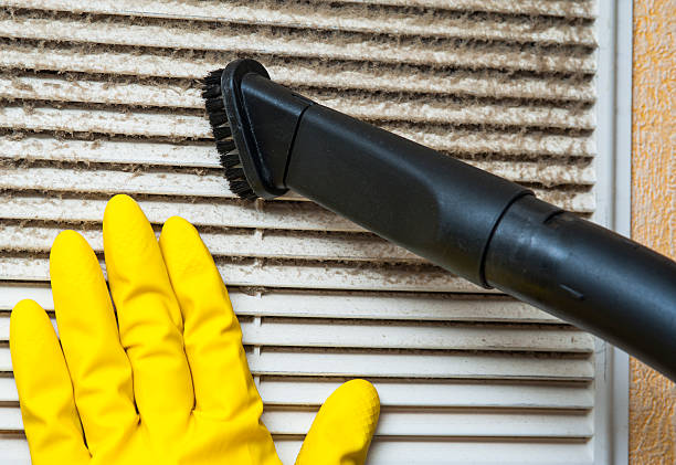 Best Ductwork Cleaning Services  in Eureka, IL